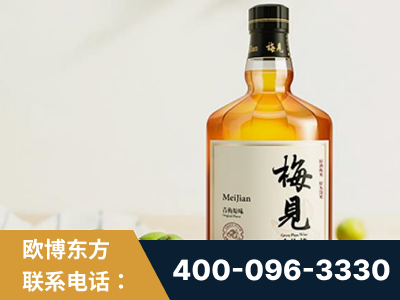 六盘水-梅见青梅酒